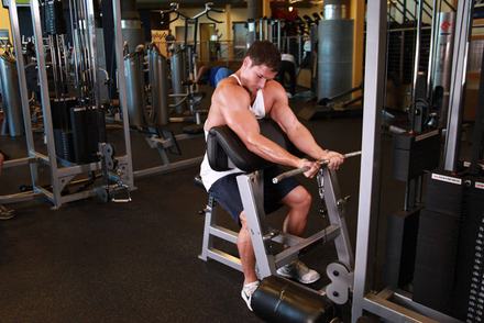 Cable Preacher Curl