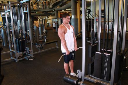 Cable Shrugs