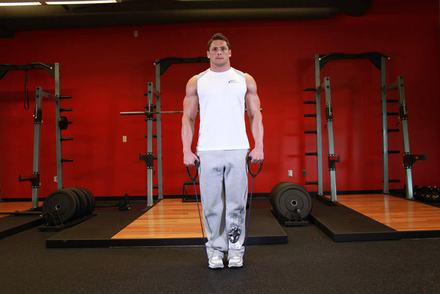 Calf Raises - With Bands
