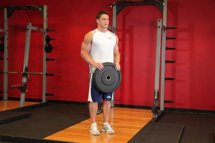 Reverse Plate Curls