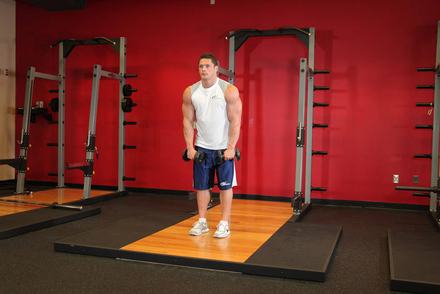 Standing Dumbbell Straight-Arm Front Delt Raise Above Head
